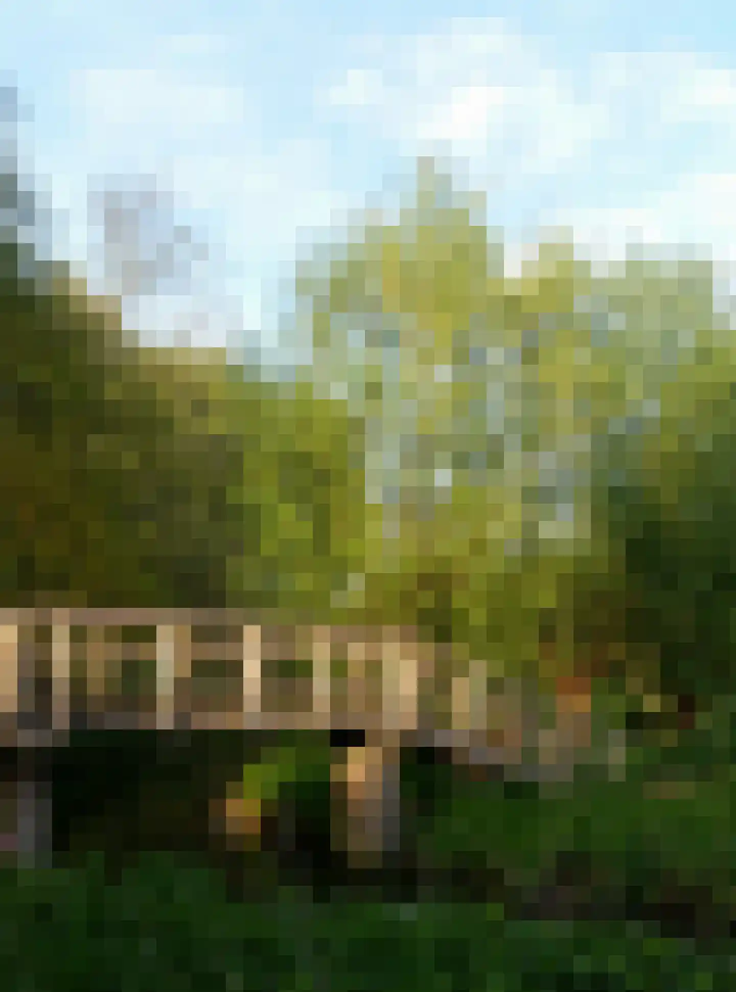 Liendenhof 135 Amsterdam thumbnail 23