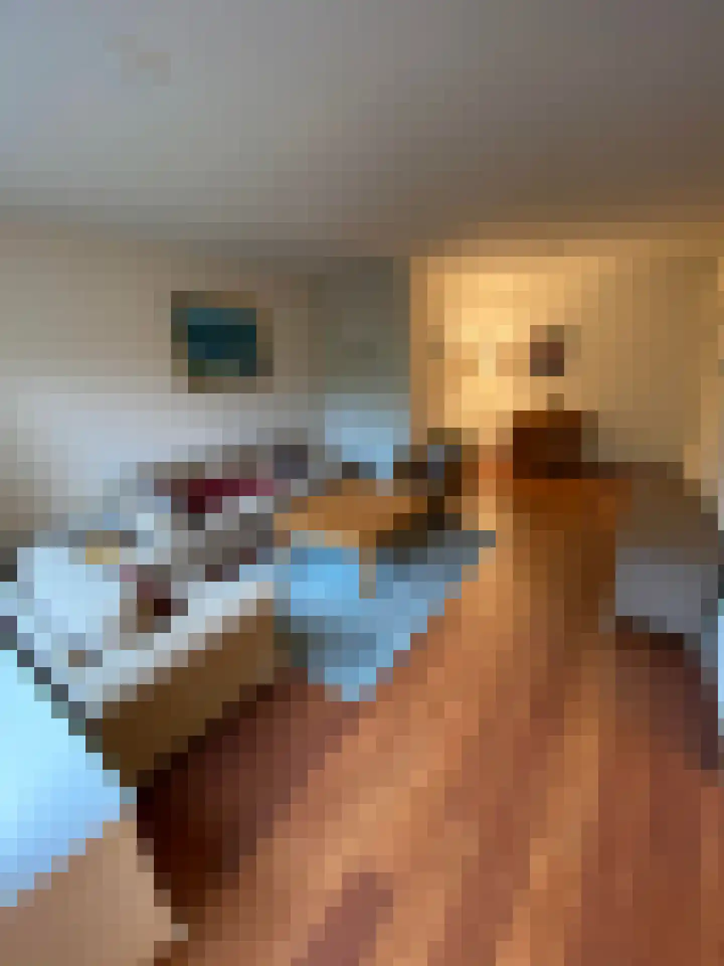 Liendenhof 135 Amsterdam thumbnail 9
