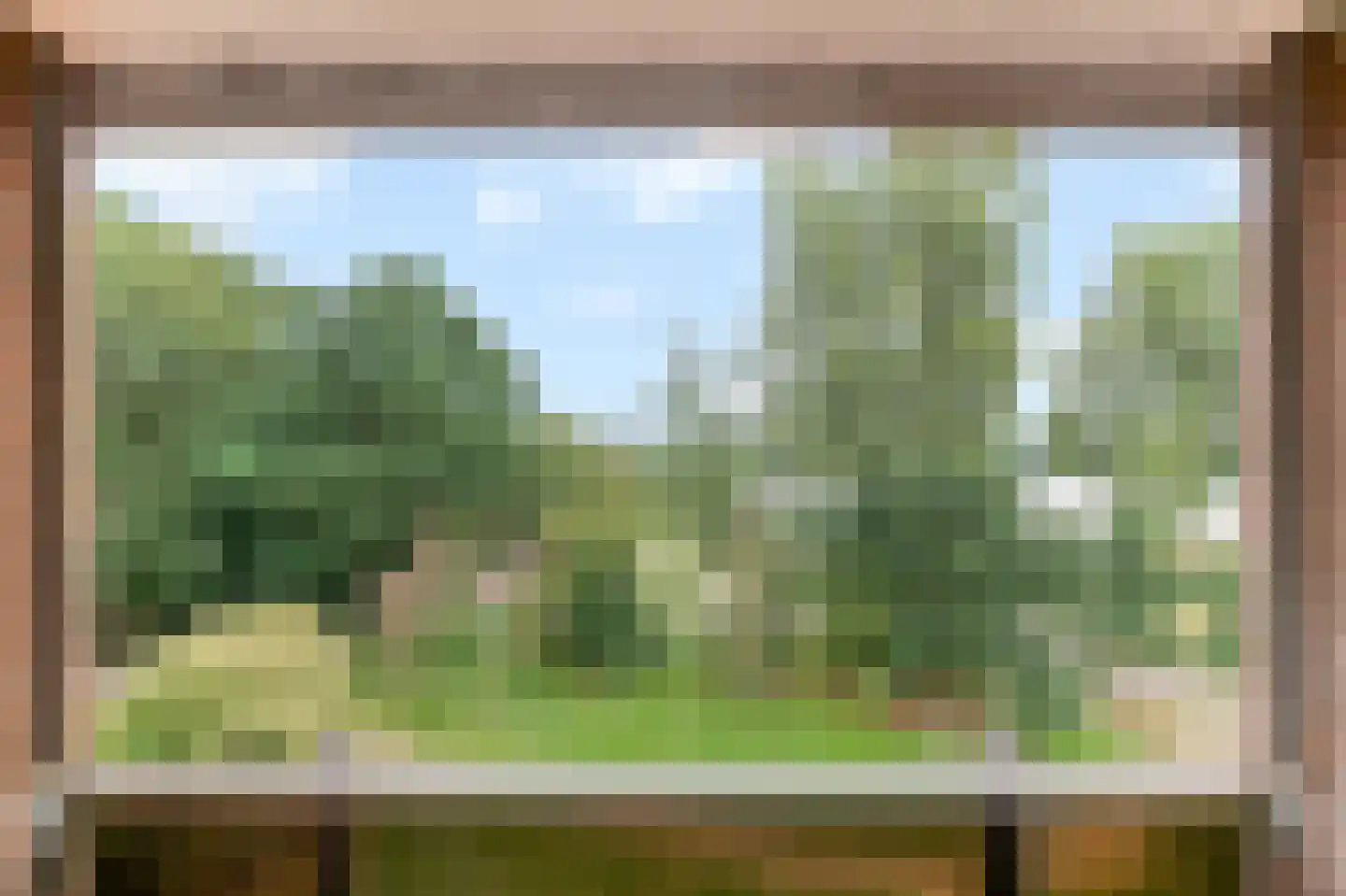 Liendenhof 14 Amsterdam thumbnail 10