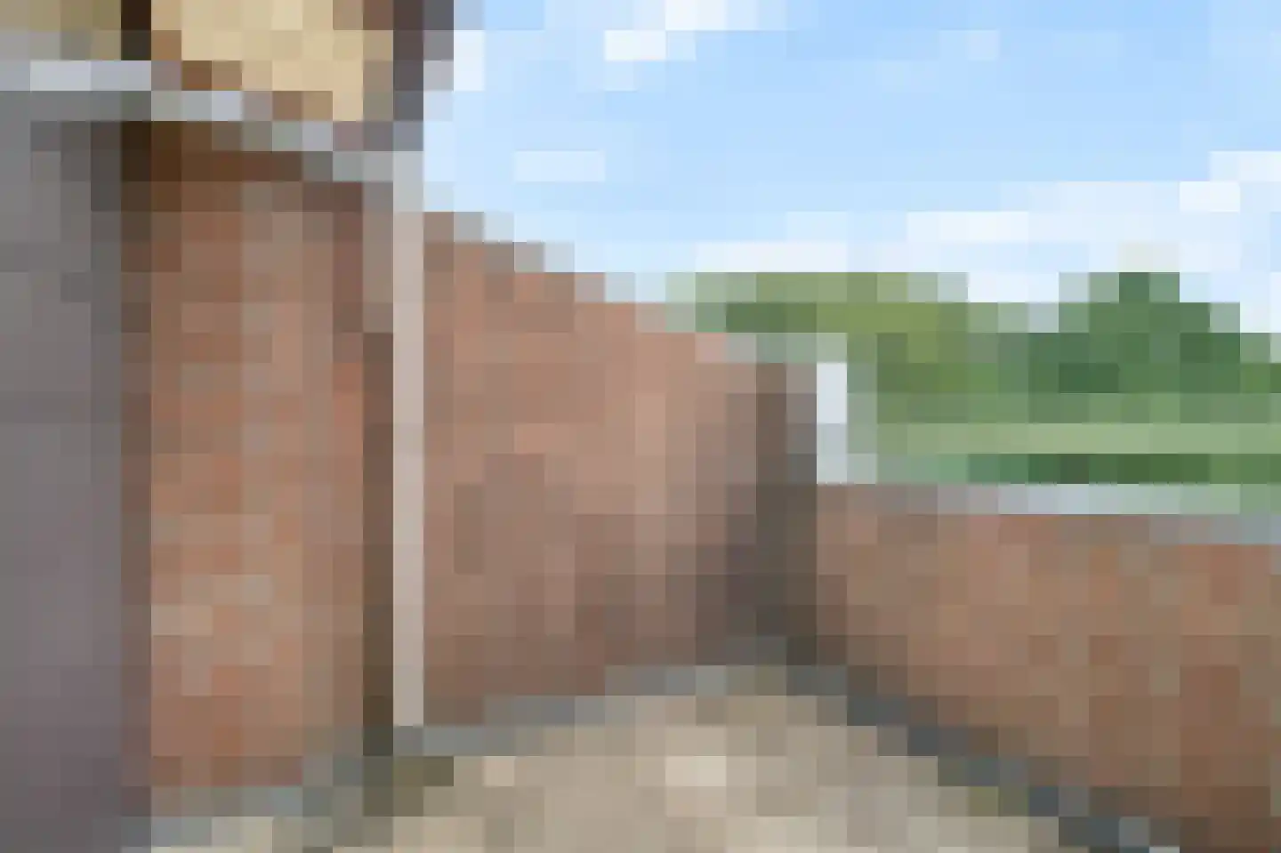 Liendenhof 14 Amsterdam thumbnail 18