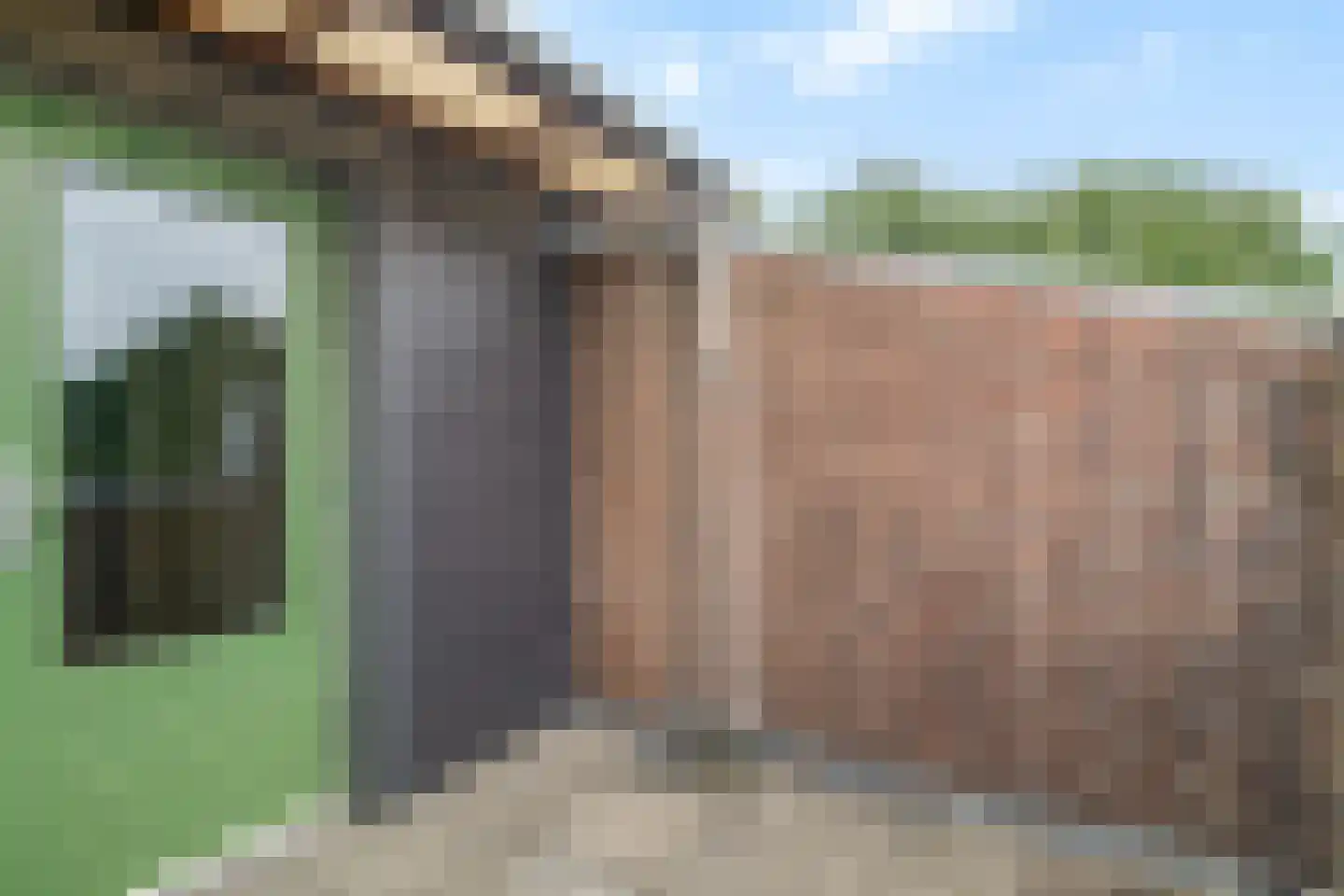Liendenhof 14 Amsterdam thumbnail 19