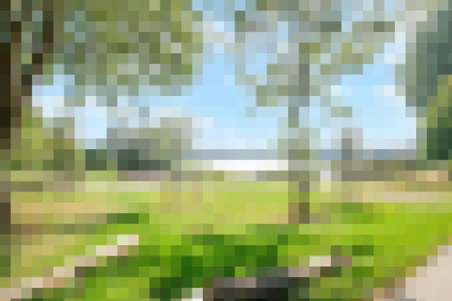 Liendenhof 14 Amsterdam thumbnail 30