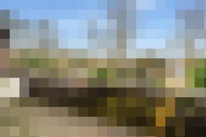 Liendenhof 17 Amsterdam thumbnail 23