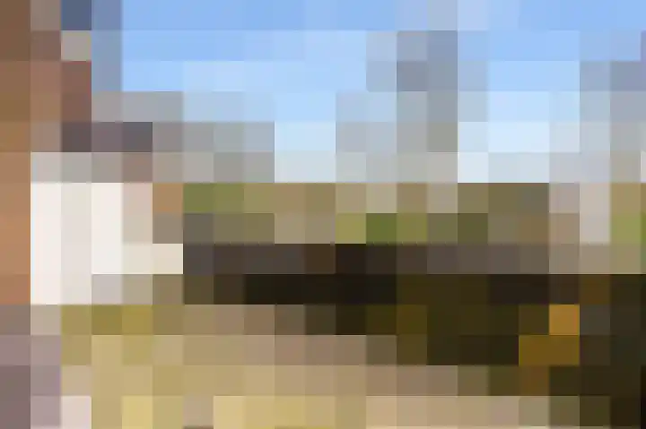 Liendenhof 17 Amsterdam thumbnail 24