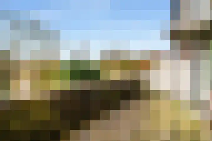 Liendenhof 17 Amsterdam thumbnail 25