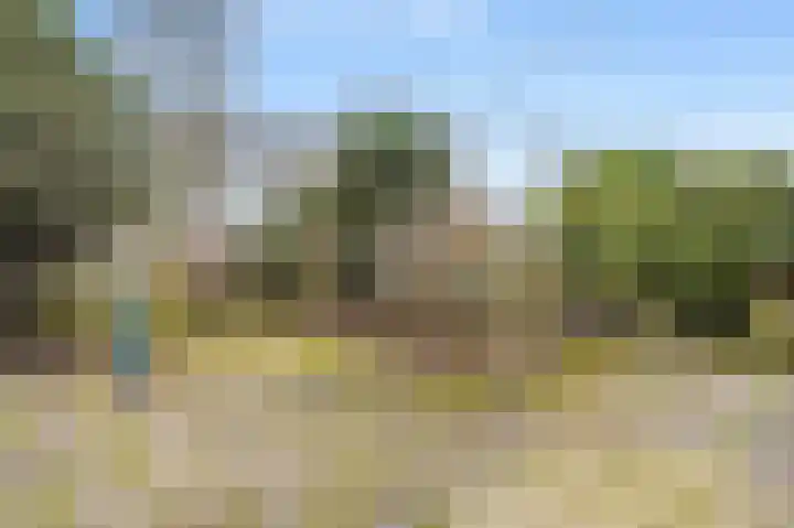 Liendenhof 17 Amsterdam thumbnail 30