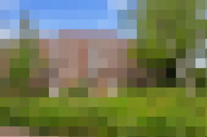 Liendenhof 184 Amsterdam thumbnail 27