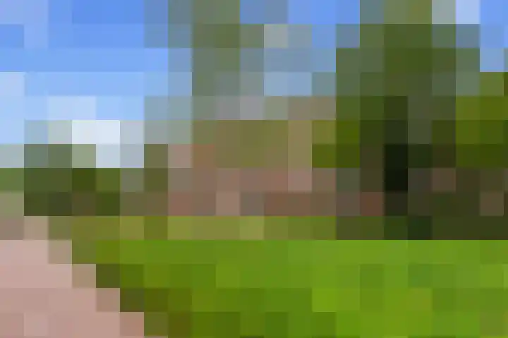 Liendenhof 184 Amsterdam thumbnail 28