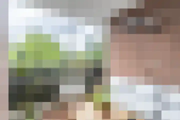 Liendenhof 188 Amsterdam thumbnail 13