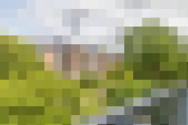 Liendenhof 188 Amsterdam thumbnail 14