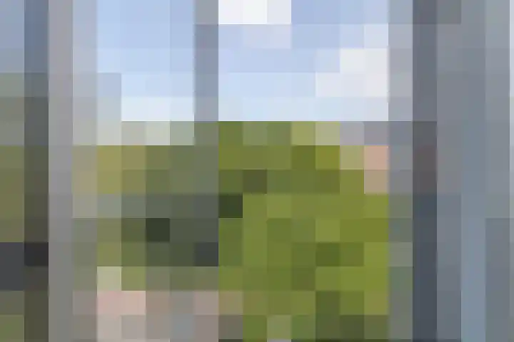 Liendenhof 188 Amsterdam thumbnail 19