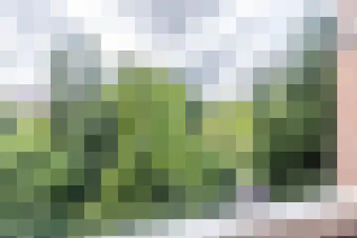Liendenhof 188 Amsterdam thumbnail 27