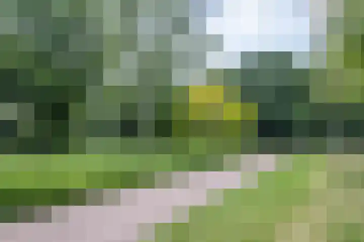 Liendenhof 188 Amsterdam thumbnail 28