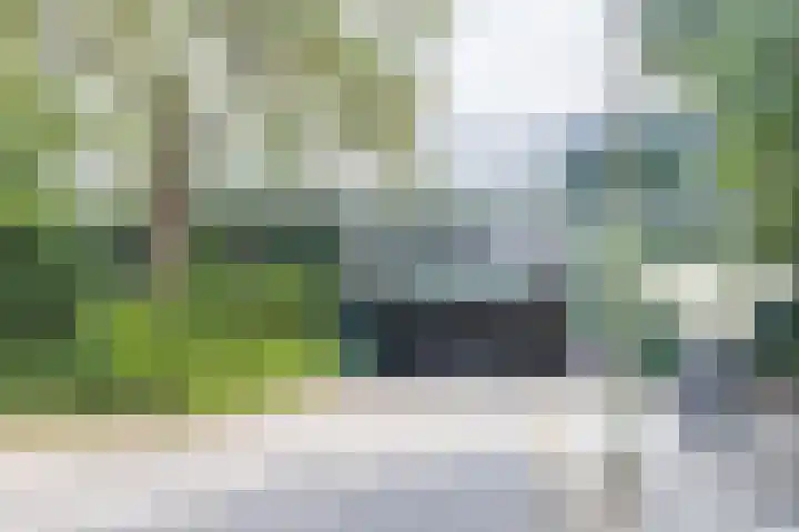 Liendenhof 188 Amsterdam thumbnail 30