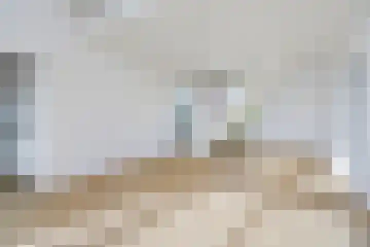 Liendenhof 207 Amsterdam thumbnail 10