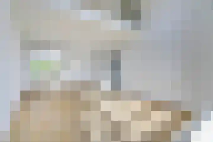 Liendenhof 207 Amsterdam thumbnail 12