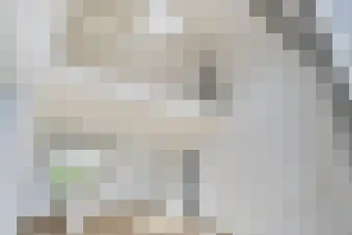 Liendenhof 207 Amsterdam thumbnail 13