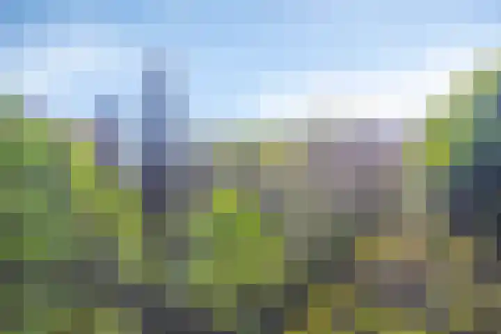 Liendenhof 207 Amsterdam thumbnail 20