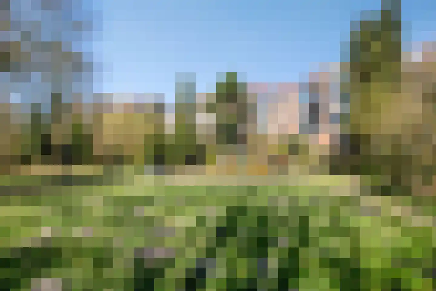 Liendenhof 241 Amsterdam thumbnail 5
