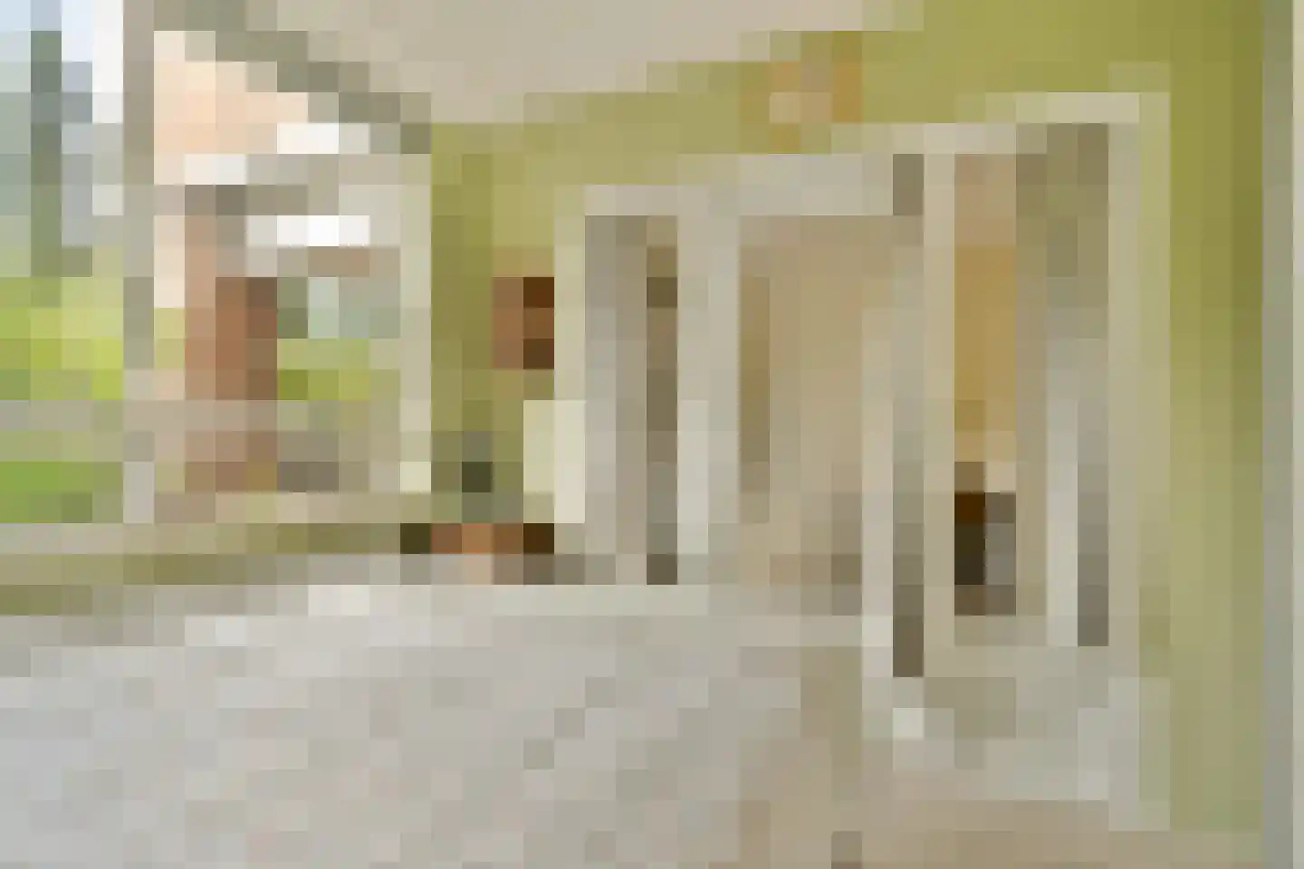 Liendenhof 248 Amsterdam thumbnail 17