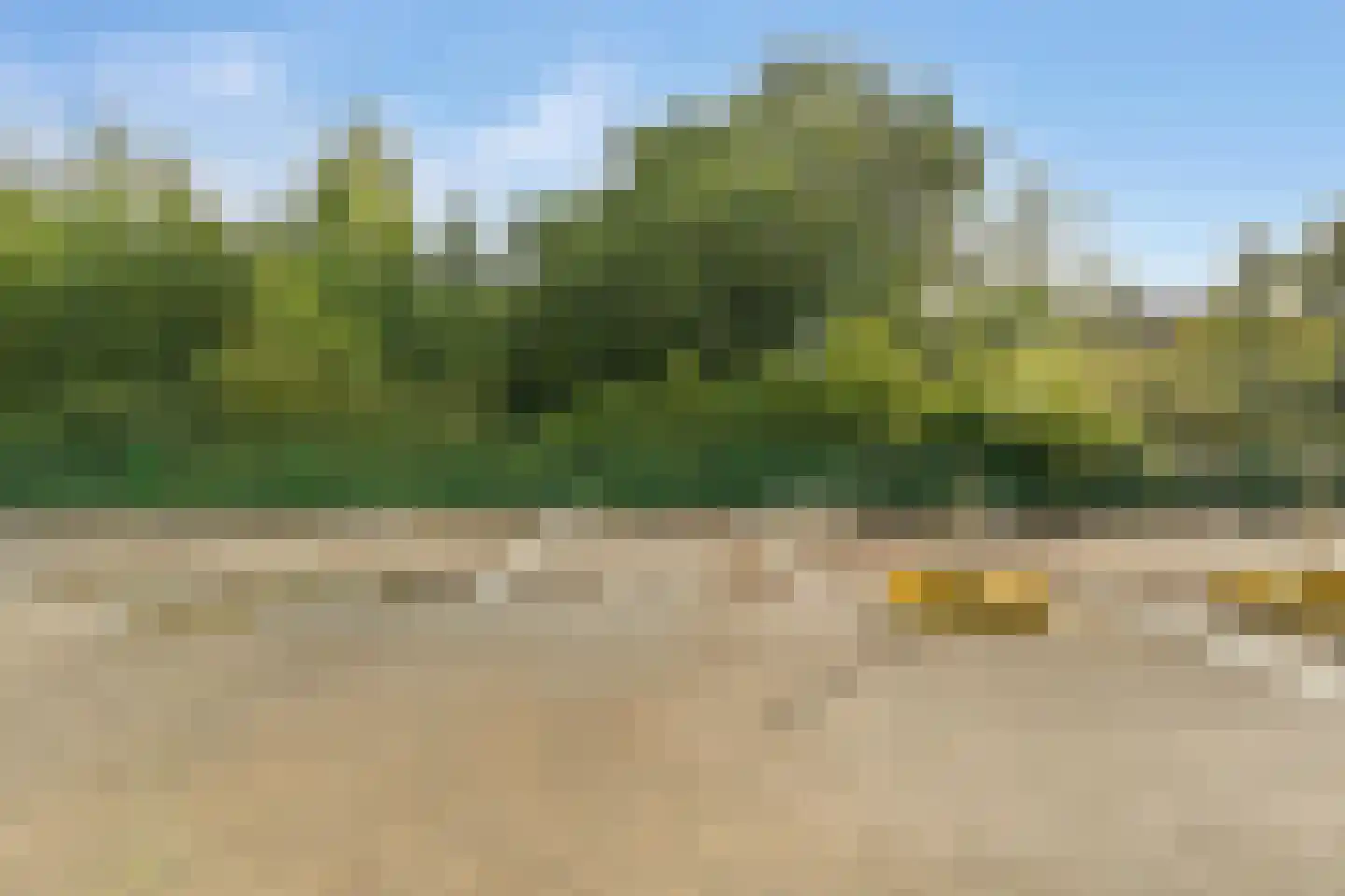 Liendenhof 248 Amsterdam thumbnail 18
