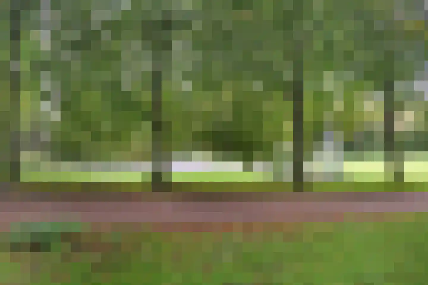 Liendenhof 248 Amsterdam thumbnail 20