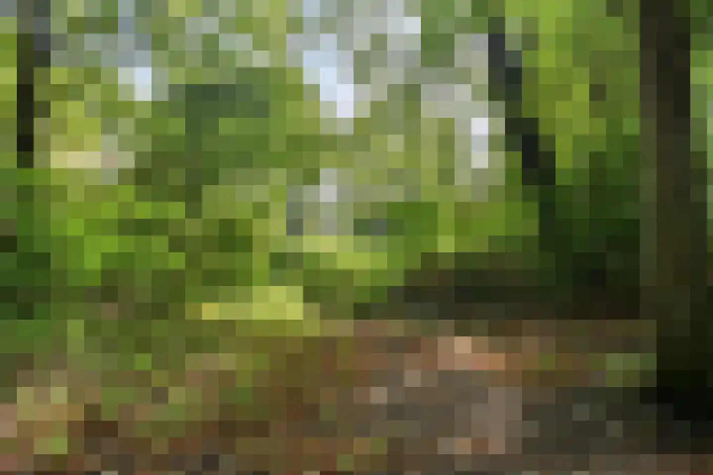 Liendenhof 248 Amsterdam thumbnail 21