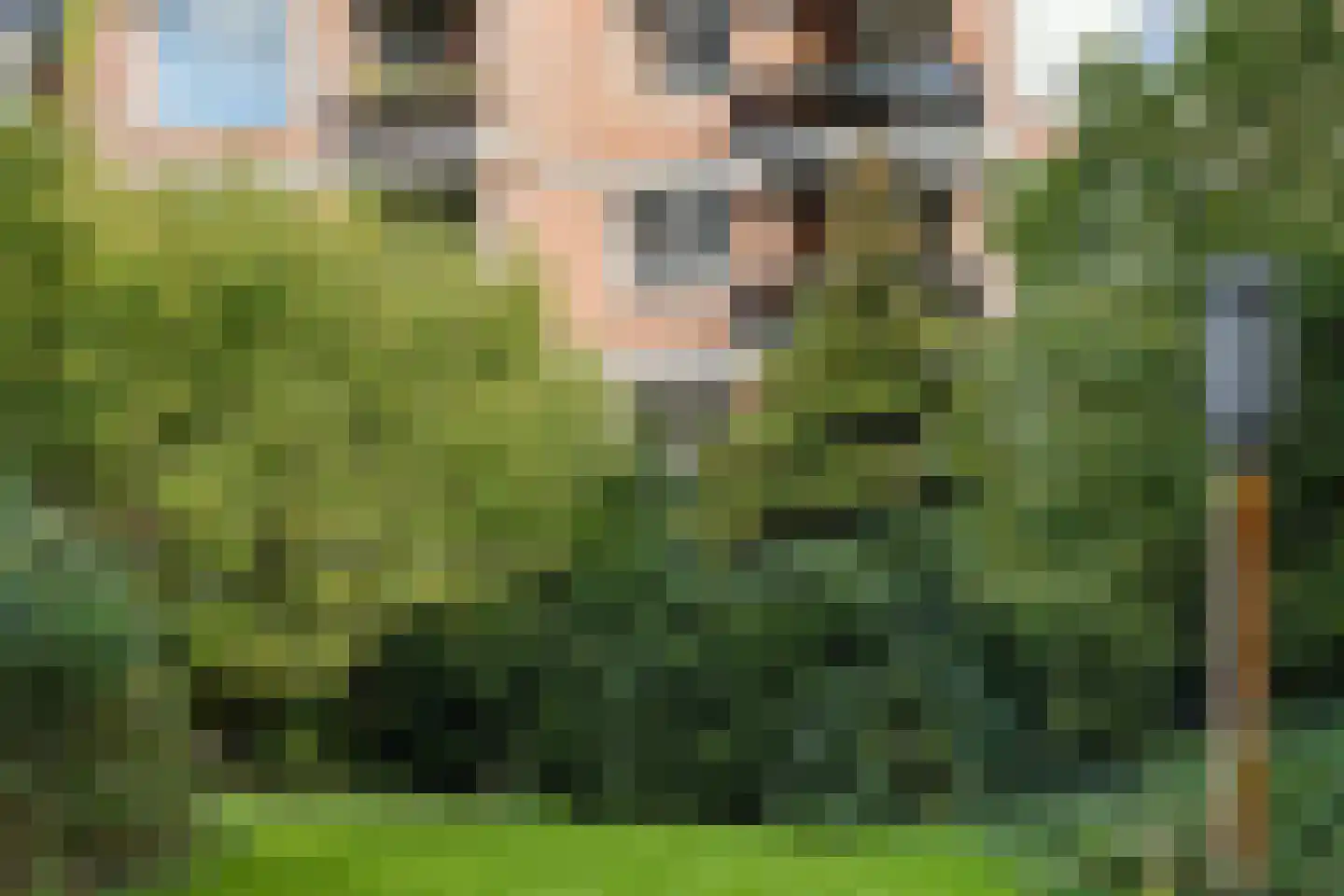 Liendenhof 248 Amsterdam thumbnail 22