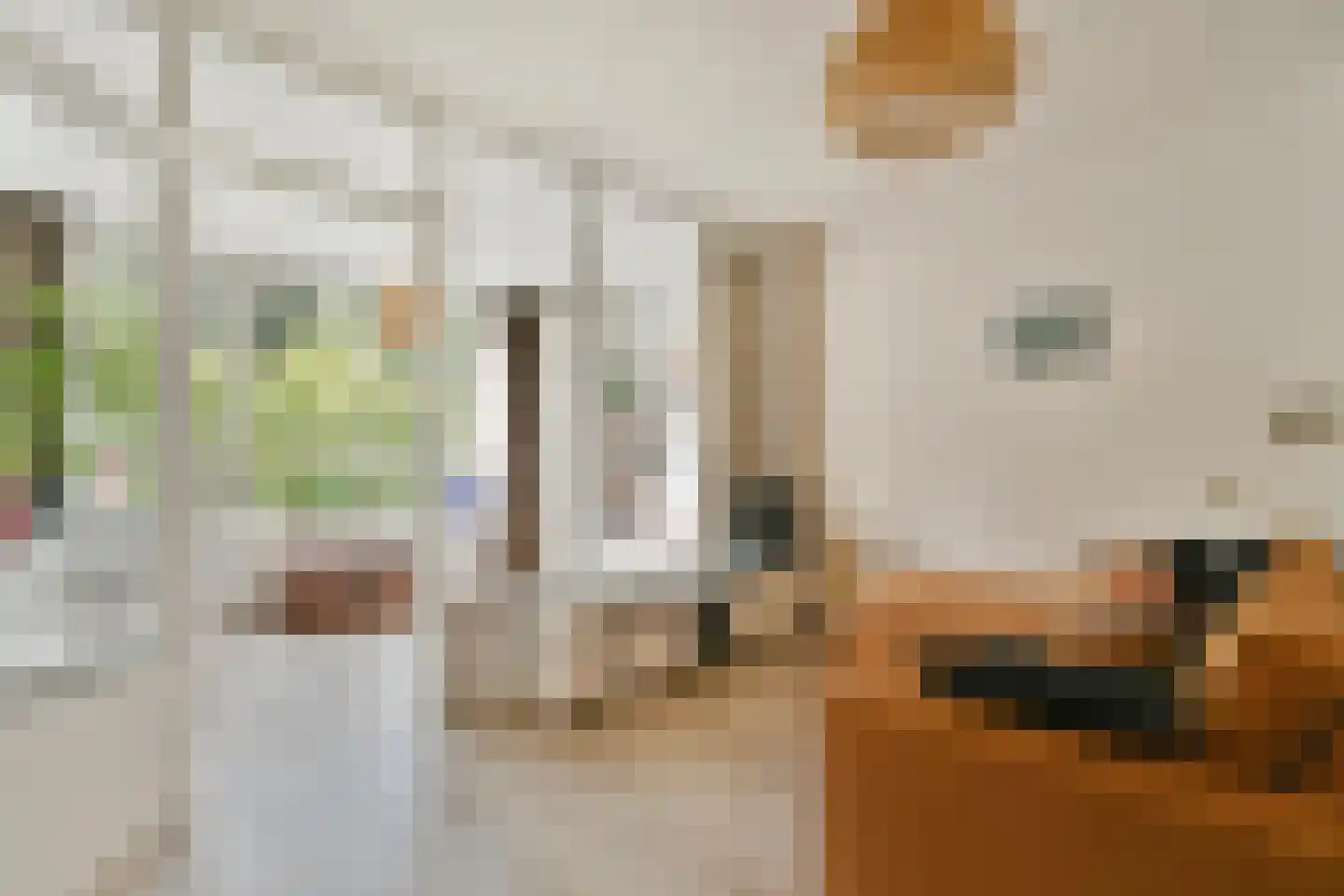 Liendenhof 248 Amsterdam thumbnail 5