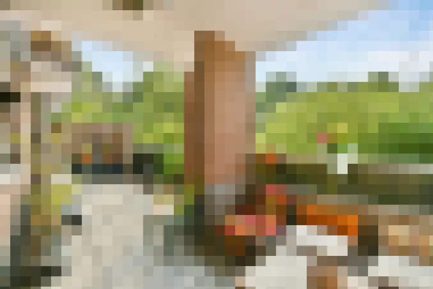 Liendenhof 248 Amsterdam thumbnail 8