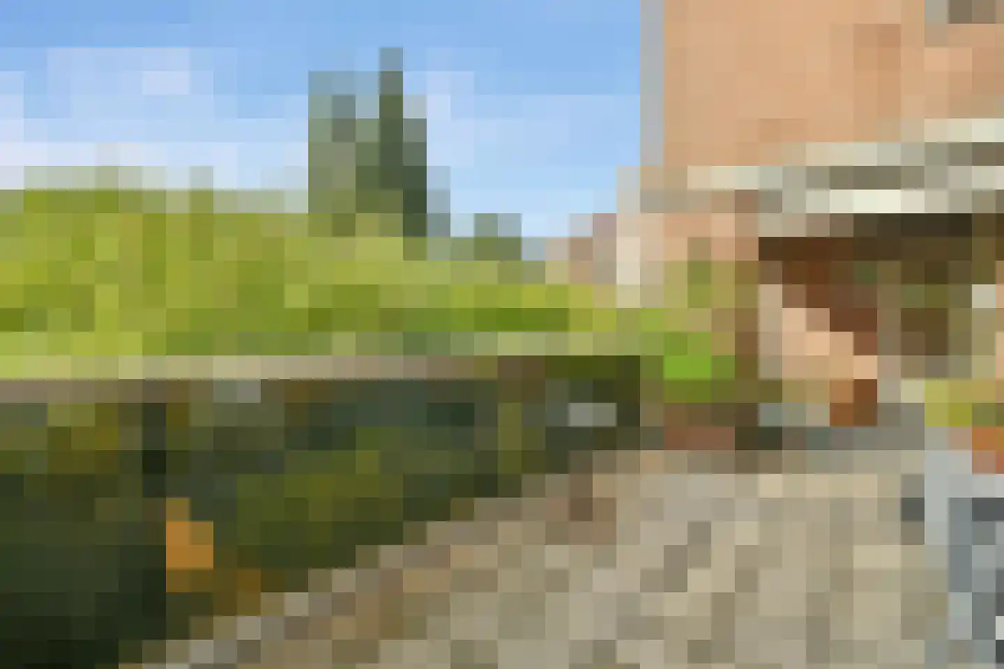 Liendenhof 248 Amsterdam thumbnail 9