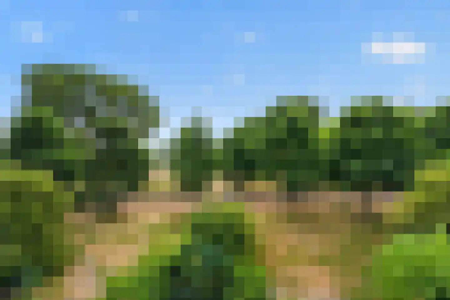Liendenhof 25 Amsterdam thumbnail 20