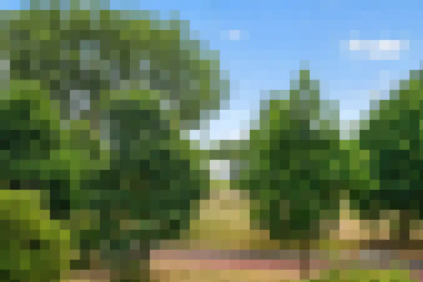 Liendenhof 25 Amsterdam thumbnail 21