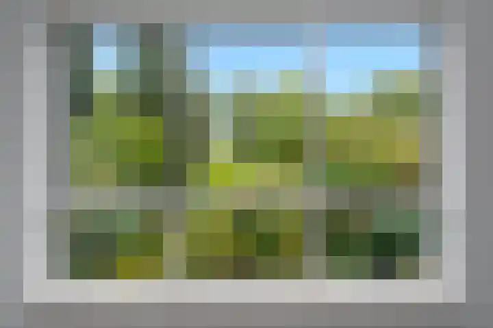 Liendenhof 264 Amsterdam thumbnail 18