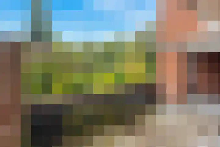 Liendenhof 264 Amsterdam thumbnail 22