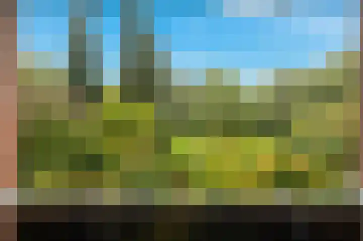 Liendenhof 264 Amsterdam thumbnail 25
