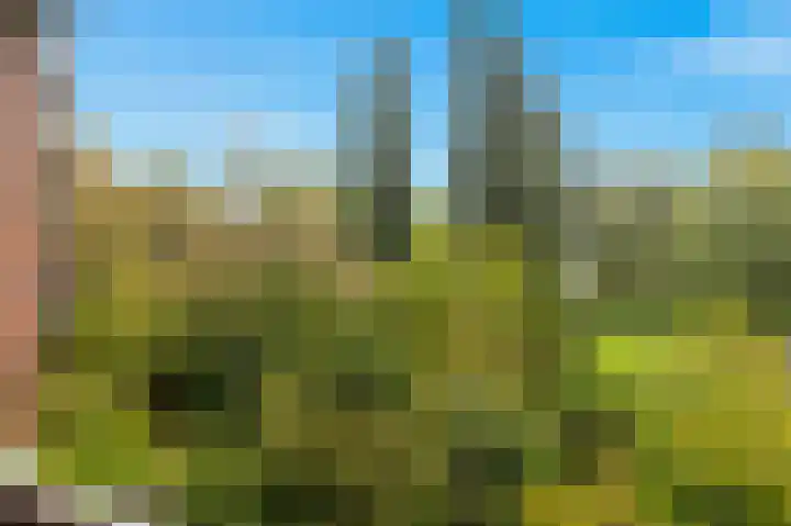 Liendenhof 264 Amsterdam thumbnail 26