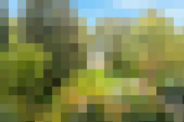 Liendenhof 264 Amsterdam thumbnail 28