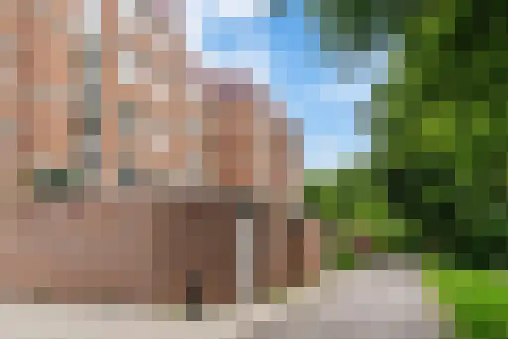 Liendenhof 275 Amsterdam thumbnail 30