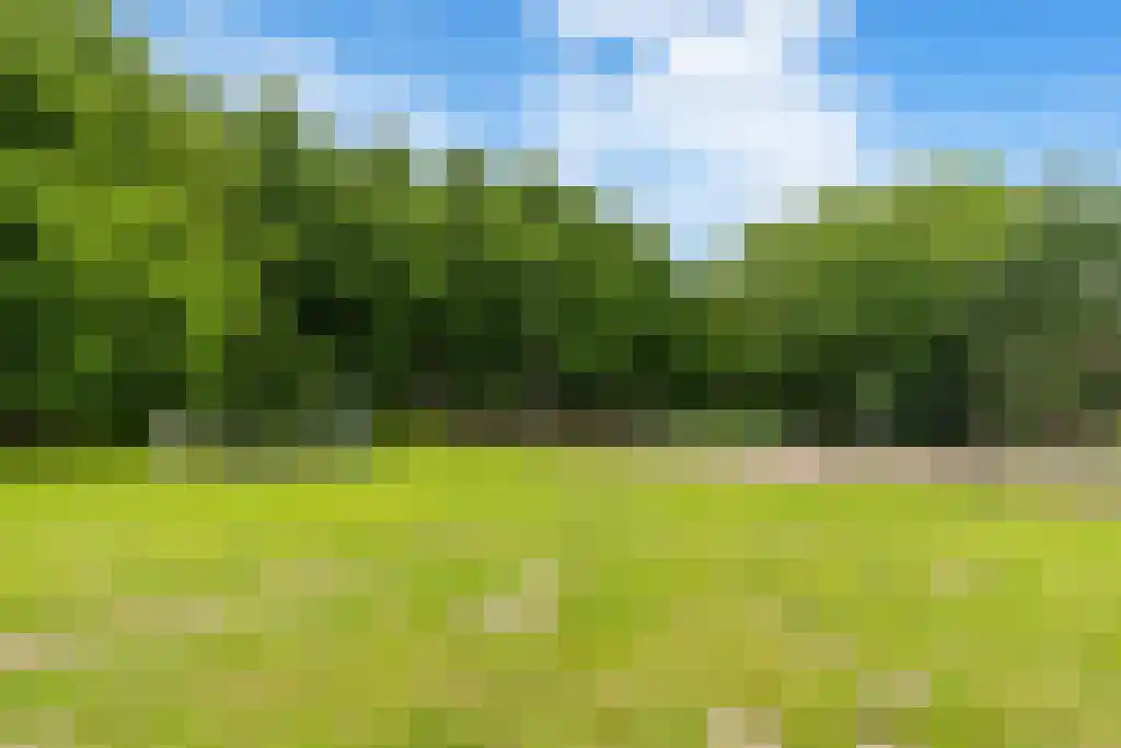 Liendenhof 275 Amsterdam thumbnail 32