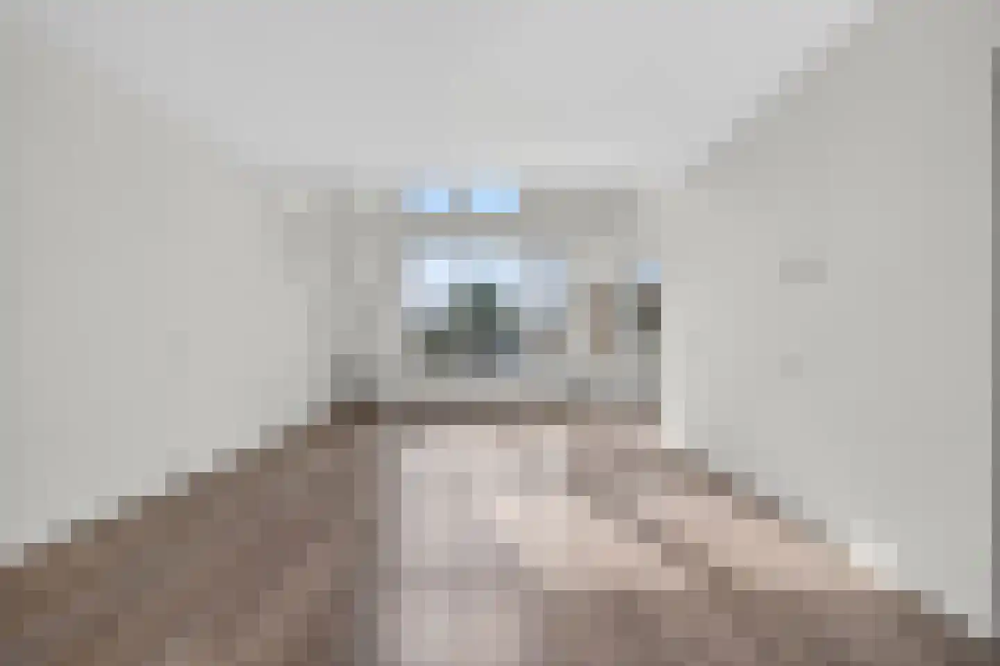 Liendenhof 288 Amsterdam thumbnail 10