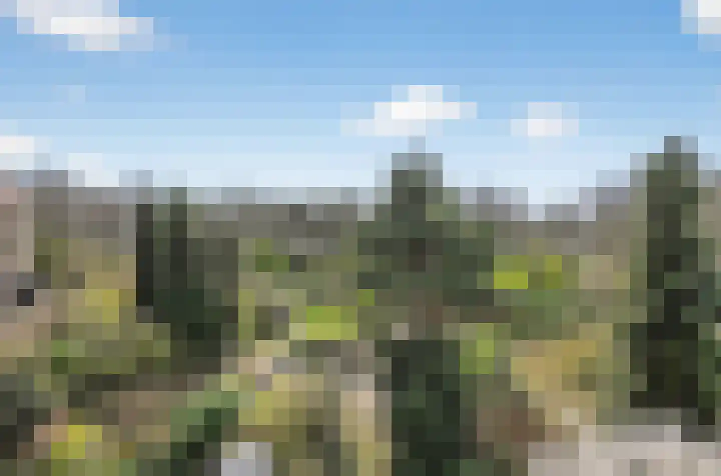 Liendenhof 288 Amsterdam thumbnail 23