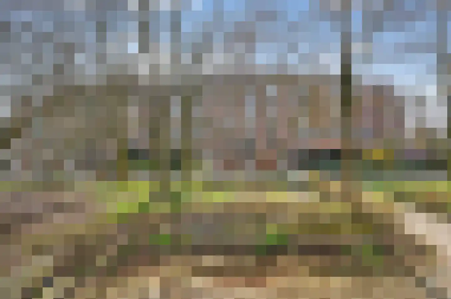 Liendenhof 288 Amsterdam thumbnail 33