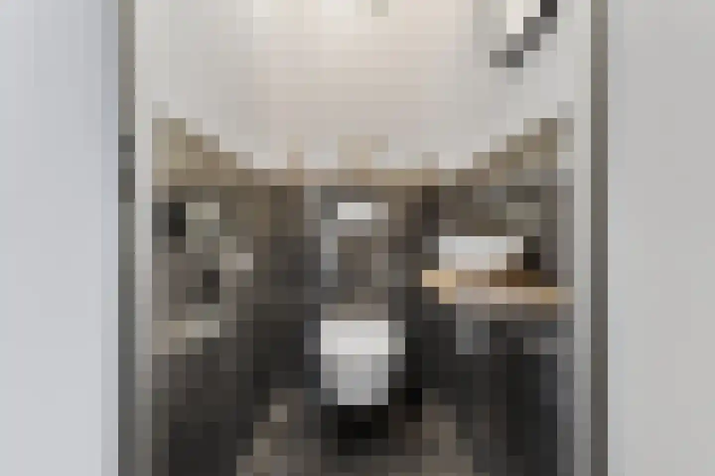 Liendenhof 302 Amsterdam thumbnail 11