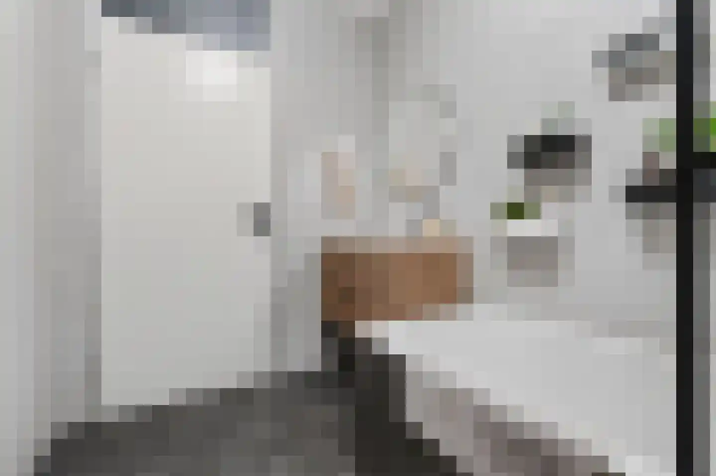 Liendenhof 302 Amsterdam thumbnail 12