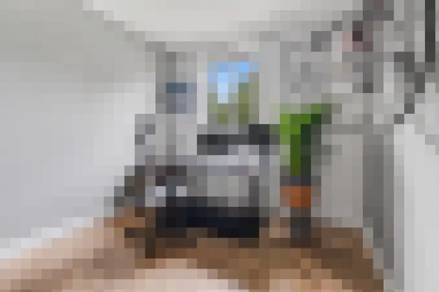Liendenhof 302 Amsterdam thumbnail 13