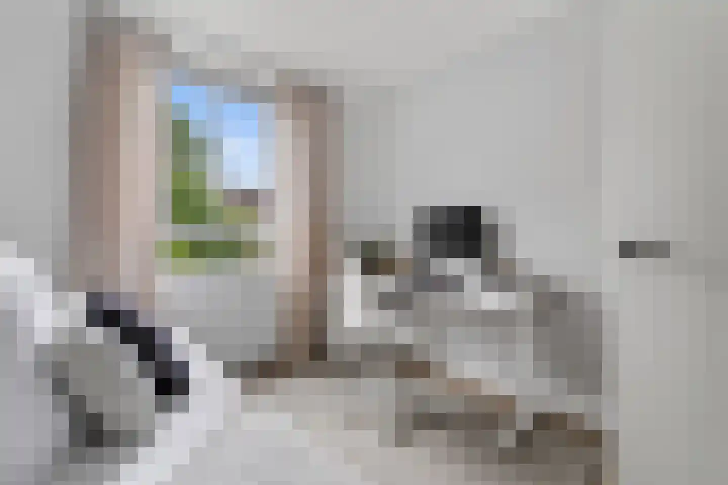 Liendenhof 302 Amsterdam thumbnail 15