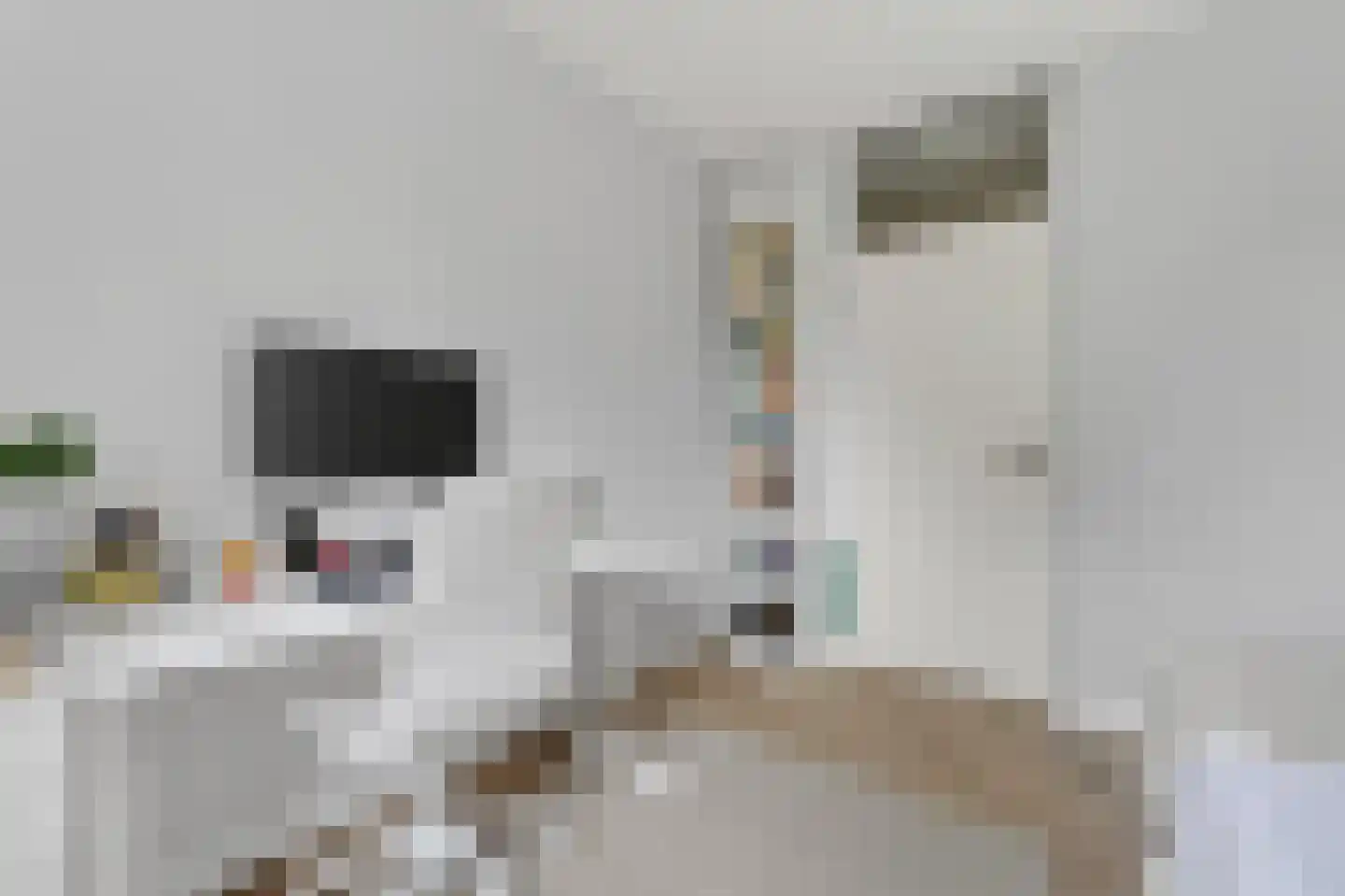 Liendenhof 302 Amsterdam thumbnail 16