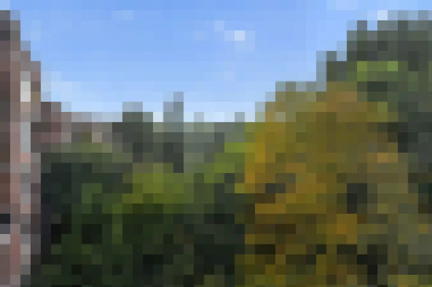 Liendenhof 302 Amsterdam thumbnail 24
