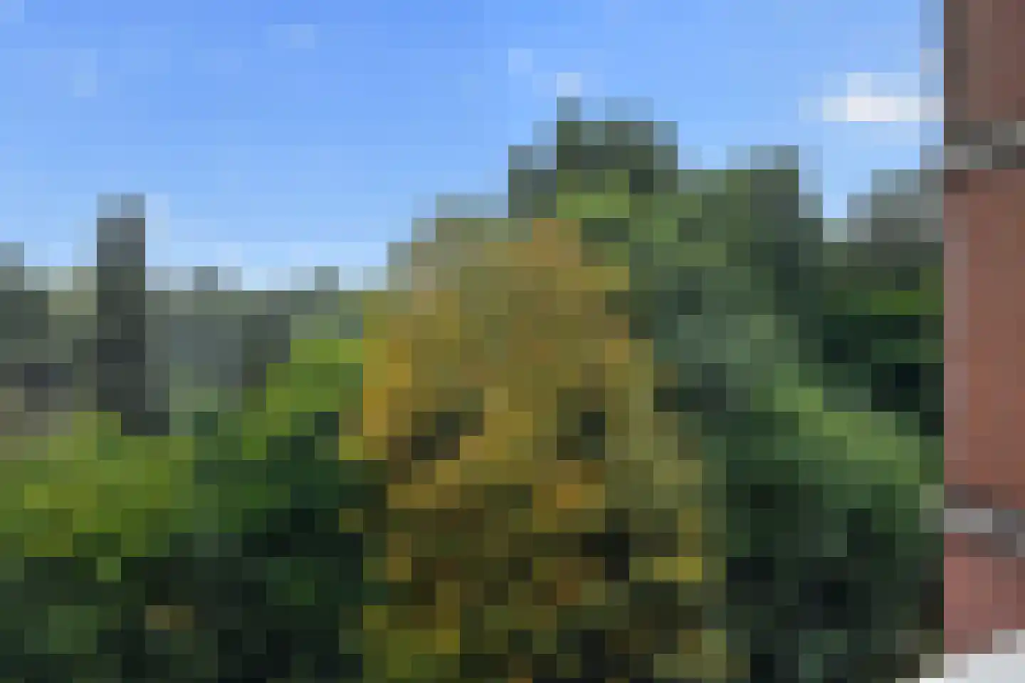 Liendenhof 302 Amsterdam thumbnail 25